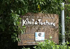 turistipercaso auckland-he4ux