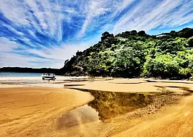 turistipercaso auckland-pahbc