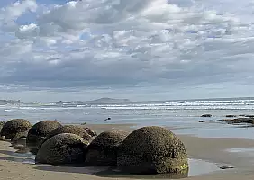 turistipercaso auckland-w7uyu