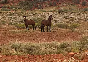 turistipercaso australia-ejy8j