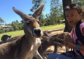 turistipercaso australia-gxqtx