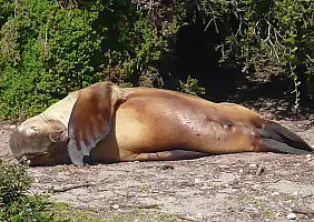 turistipercaso australia-tq7qu