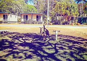 turistipercaso australia-v17rr