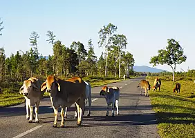 turistipercaso australia-xvpx5