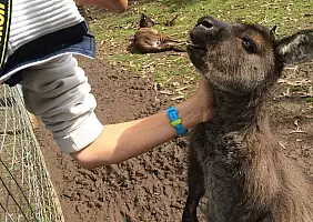 turistipercaso australia-yybfz