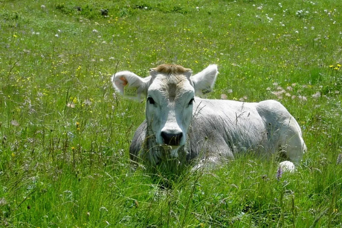 Viaggio in Val Stubai