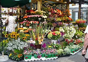 turistipercaso austria-735wx