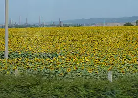 turistipercaso austria-ywwdq