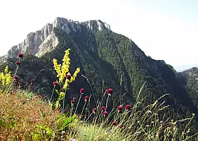 turistipercaso avventura-9u5y5