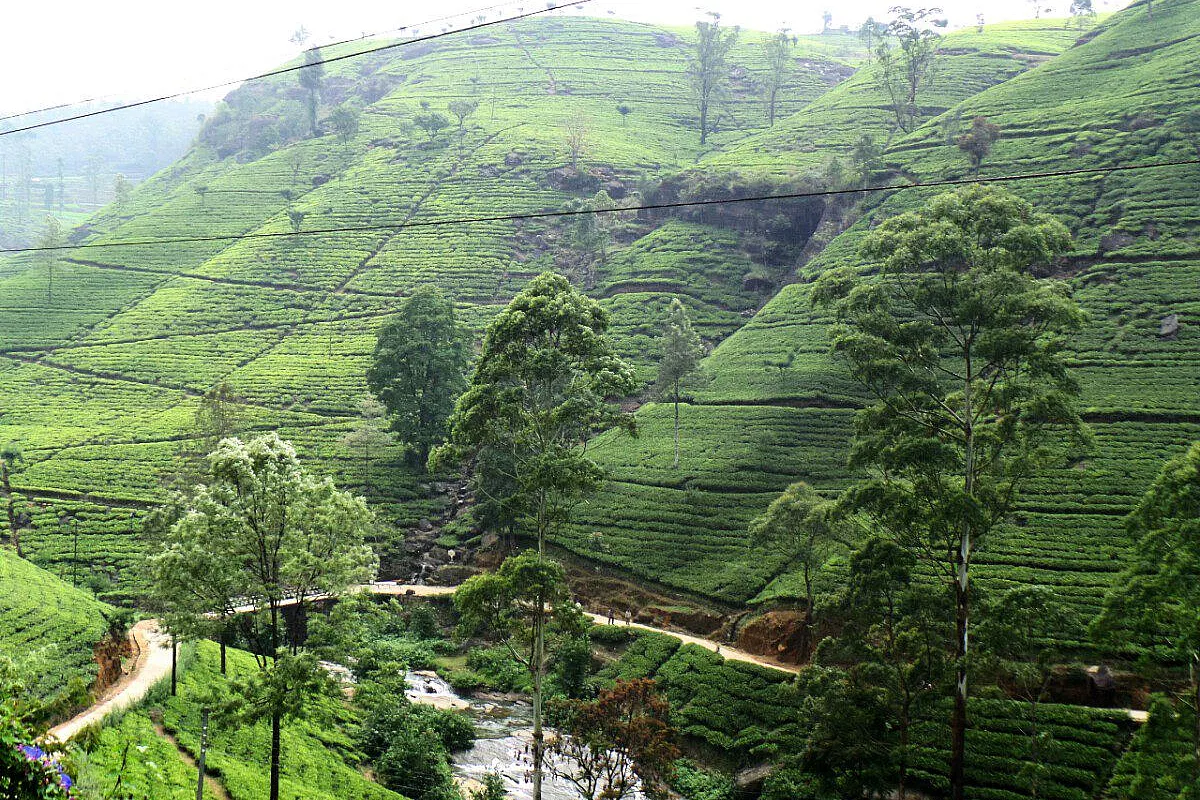 INCANTEVOLE SRI LANKA