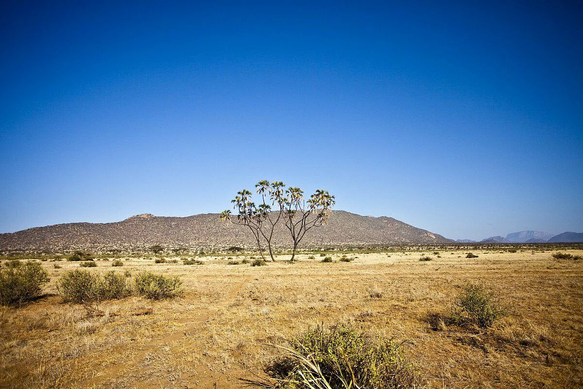 samburu park