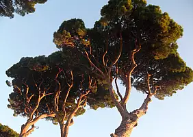 turistipercaso avventura-psu9e
