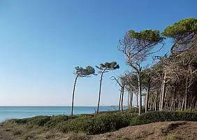 turistipercaso avventura-v9sdf