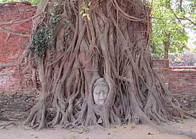turistipercaso ayutthaya-monumento-mh5sk