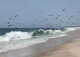 turistipercaso azzorre-ztpxu