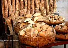 turistipercaso bago-nffej
