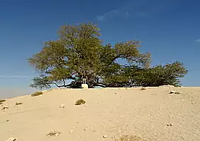 turistipercaso bahrain-t3ga4