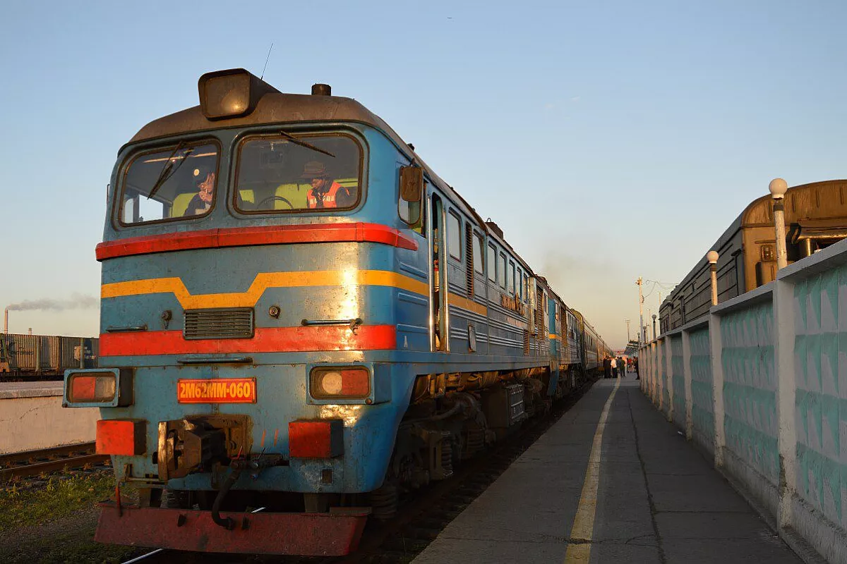 transmongolica