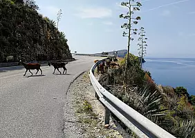 turistipercaso balcani-7p8xr