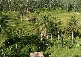 turistipercaso bali-1ksnj