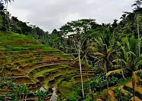 turistipercaso bali-dq3qq