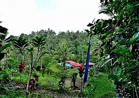 turistipercaso bali-fefnf