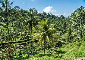 turistipercaso bali-hd4rp