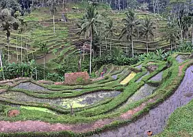 turistipercaso bali-hffgj