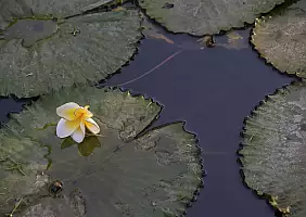 turistipercaso bali-kpsha