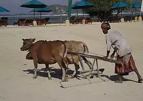 turistipercaso bali-pxsh6