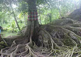 turistipercaso bali-region-4m1aj