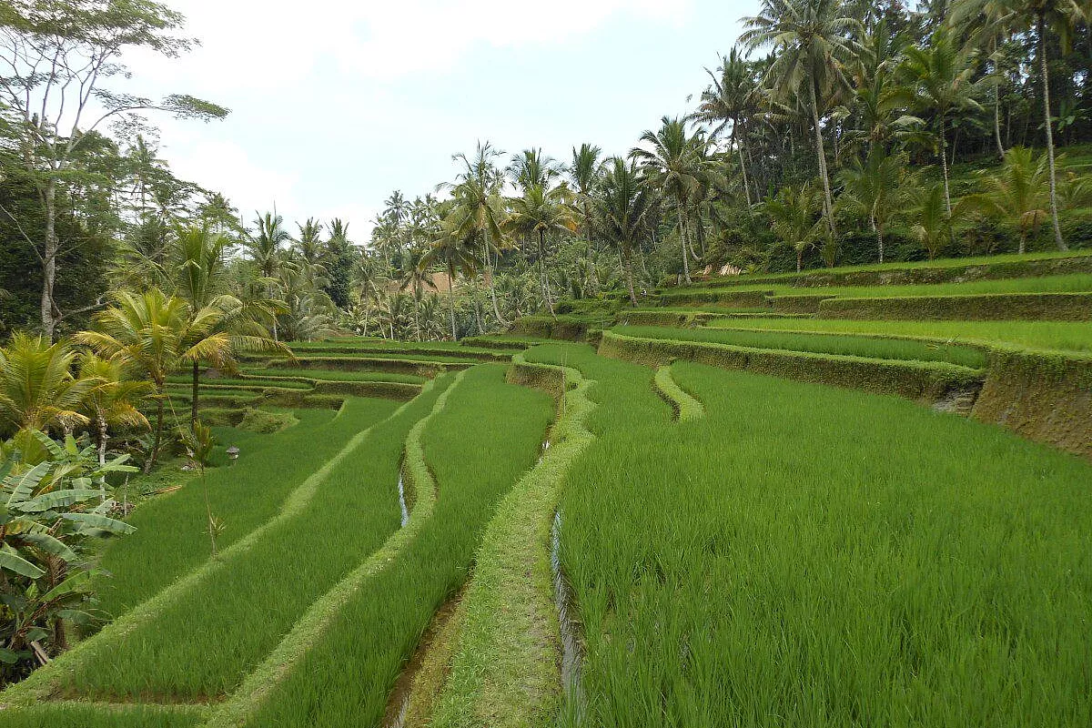 Gunung Kawi in Tampaksiring