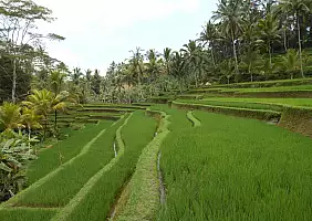turistipercaso bali-region-6w5s3