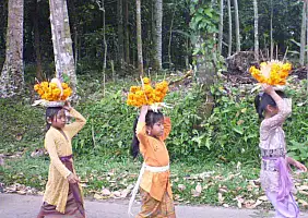 turistipercaso bali-region-at138
