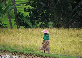 turistipercaso bali-region-bgx61