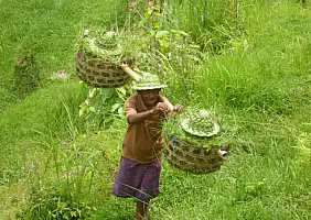 turistipercaso bali-region-ethgz