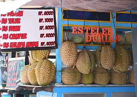 turistipercaso bali-region-f6cku