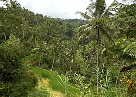 turistipercaso bali-region-f9pgy