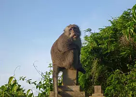 turistipercaso bali-region-jkc8d