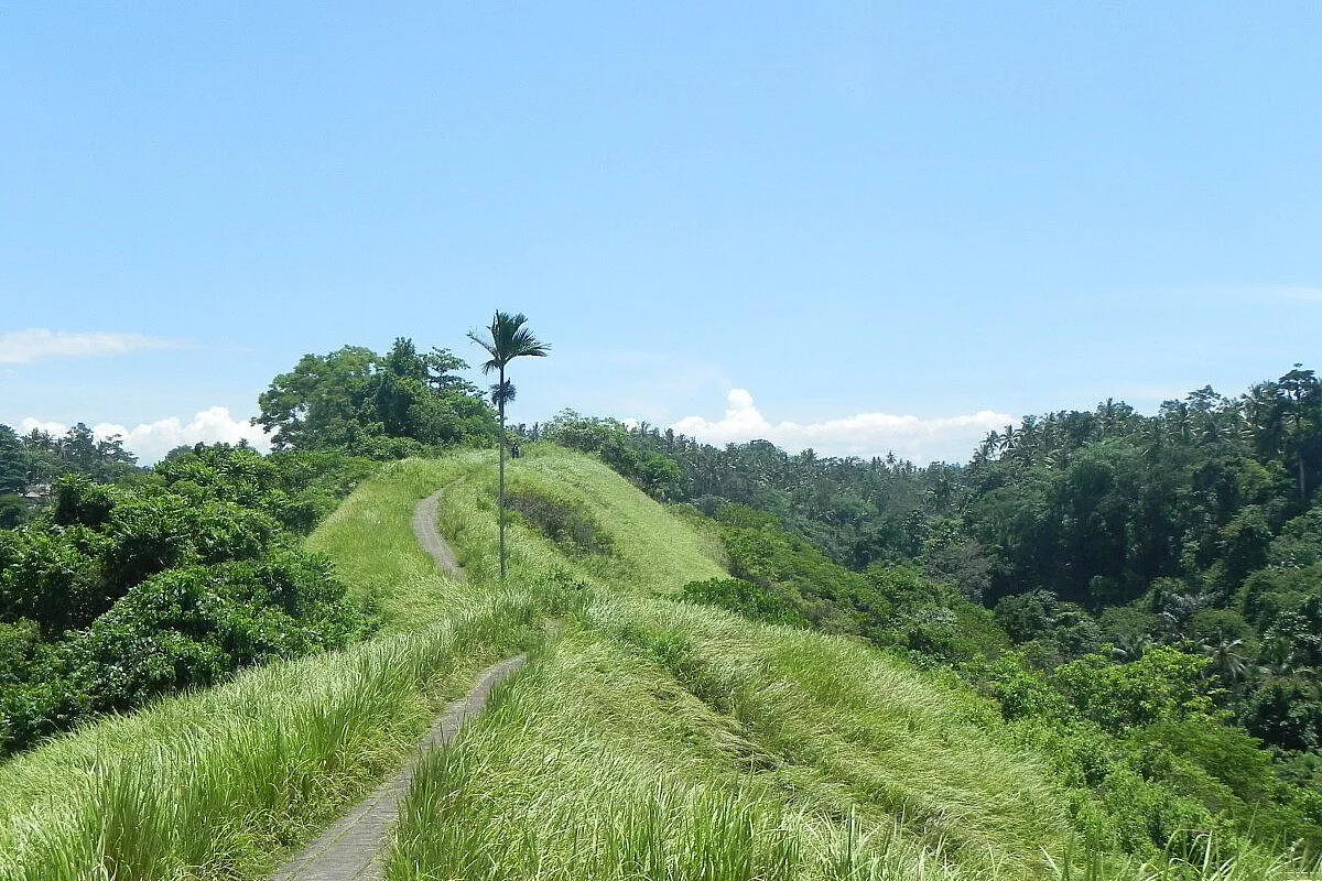 crinale di camphuan