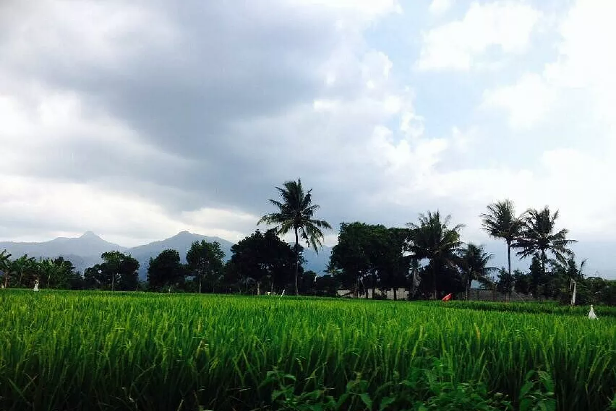 Lombok
