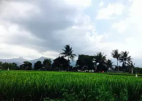 turistipercaso bali-region-tzghf