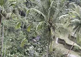 turistipercaso bali-region-v1fyj
