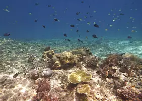 turistipercaso bali-region-vwp9p