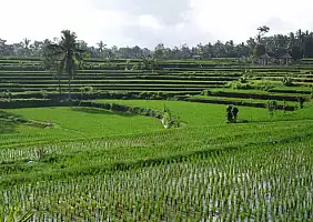 turistipercaso bali-uq7wc