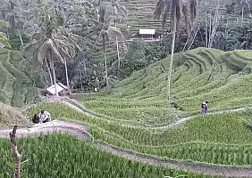 turistipercaso bali-xwe99