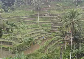 turistipercaso bali-yctzp