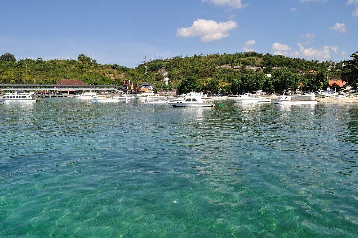 Gili T.