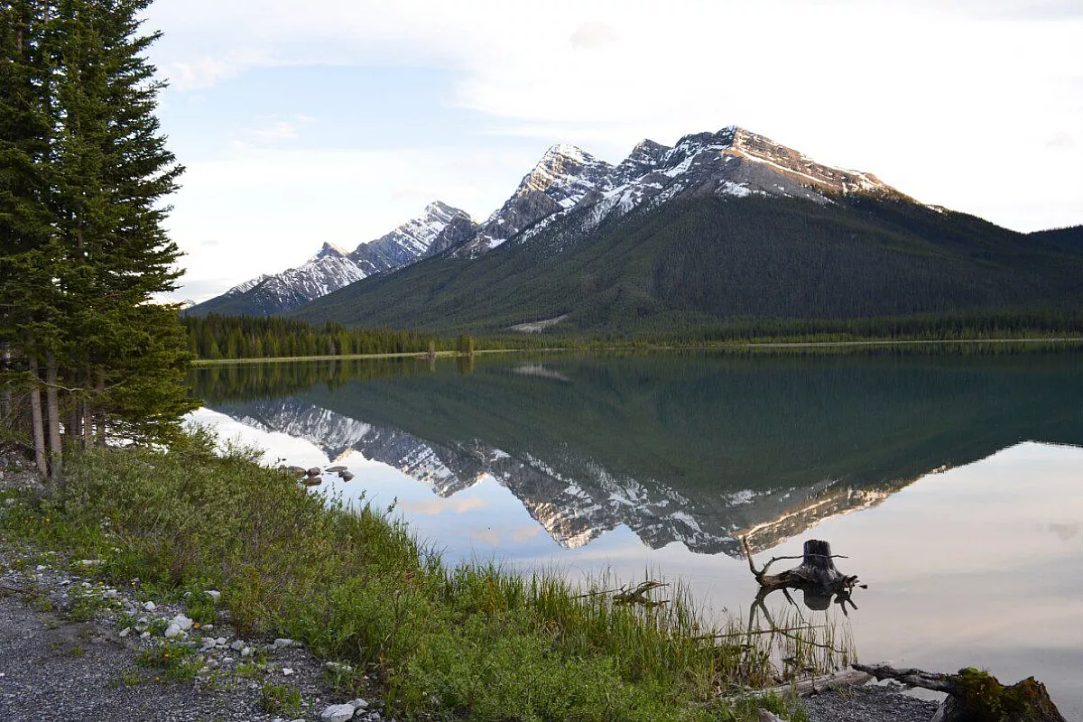 Two little Suisse in Canada