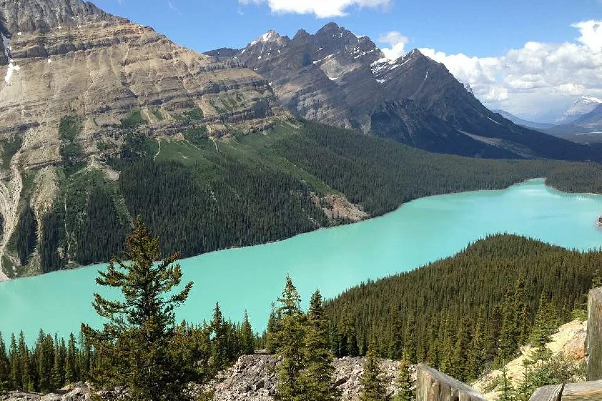 I colori del Peyto Lake